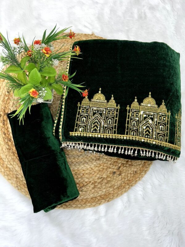 Solid plain saree with Taj Mahal figure panel designer pallu with triangle lace border - Image 5