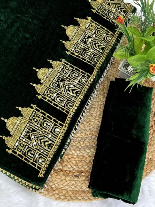 Solid plain saree with Taj Mahal figure panel designer pallu with triangle lace border - Image 11