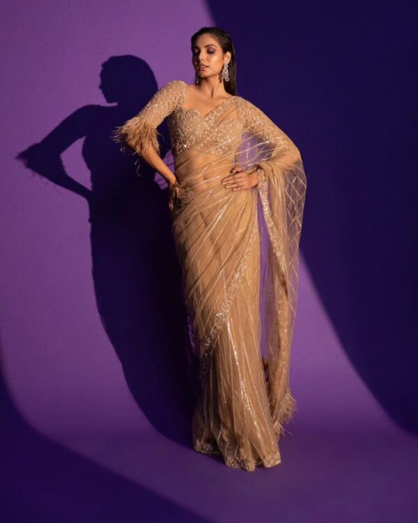 Sandy Beige Net Heavy Sequence Saree - Image 2