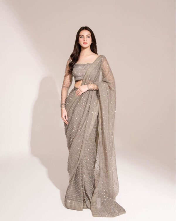 Gray Crystal Saree - Image 5