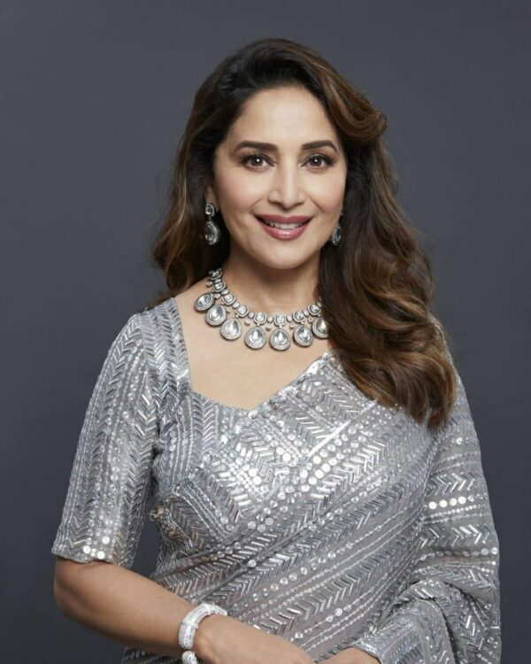 Madhuri Dixit Heavy Sequence Saree Grey Color - Image 3