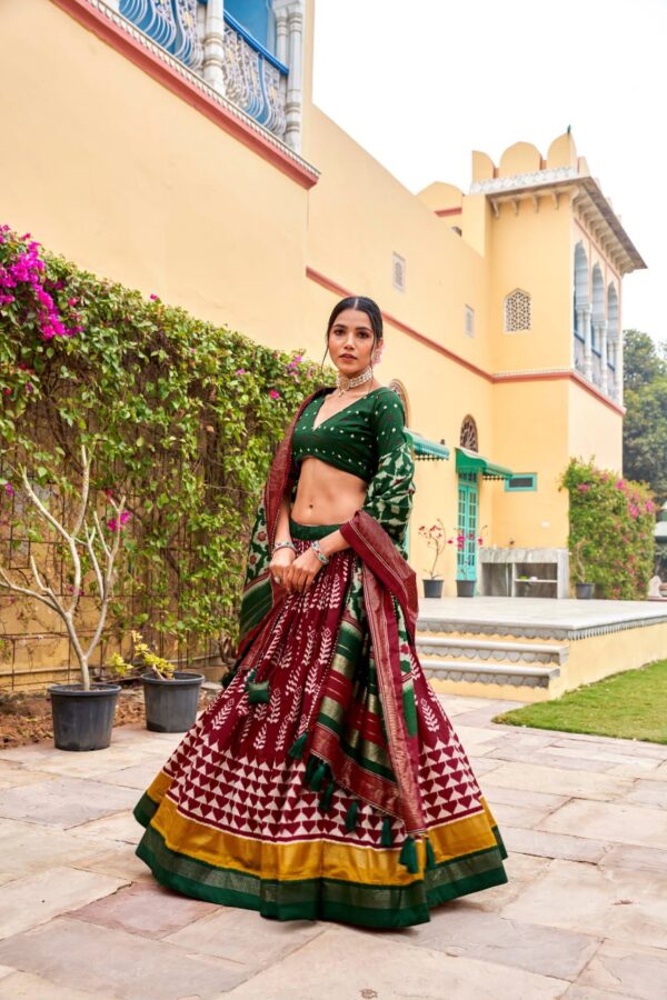 Tussar Silk Lehenga With Print With Foil Work - Image 11