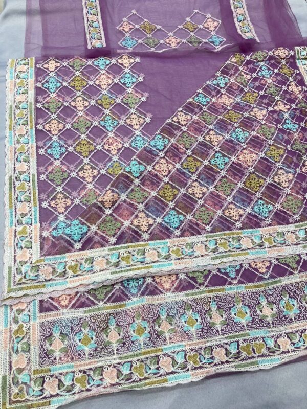 Beautiful Designer Saree on Soft Butterfly Net fabric - Image 4