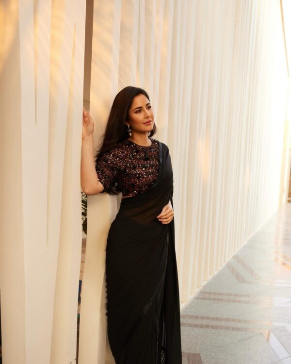 Black georgette Saree work : black sparkle lace border on saree - Image 2